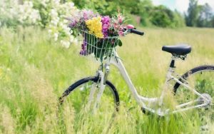 Как подготовить велосипед к летнему сезону